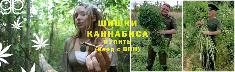 купить наркотики цена  Ивангород  Бошки Шишки Bruce Banner 